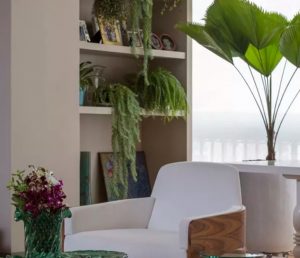 plantas na decoração